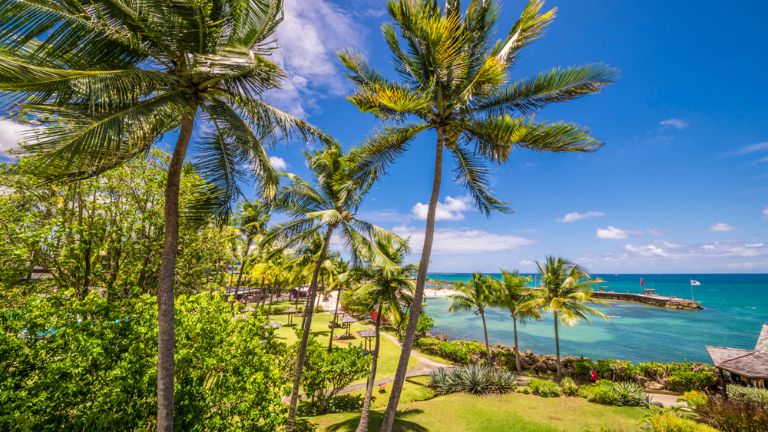 La Cr�ole Beach Hotel & Spa - jardin
