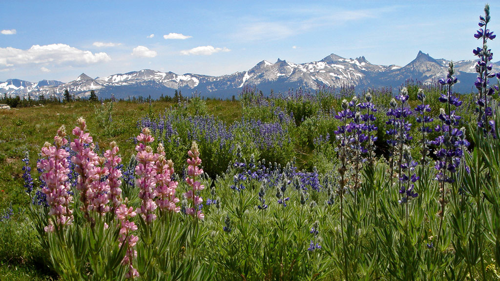 Jour 14 : Bishop / Yosemite