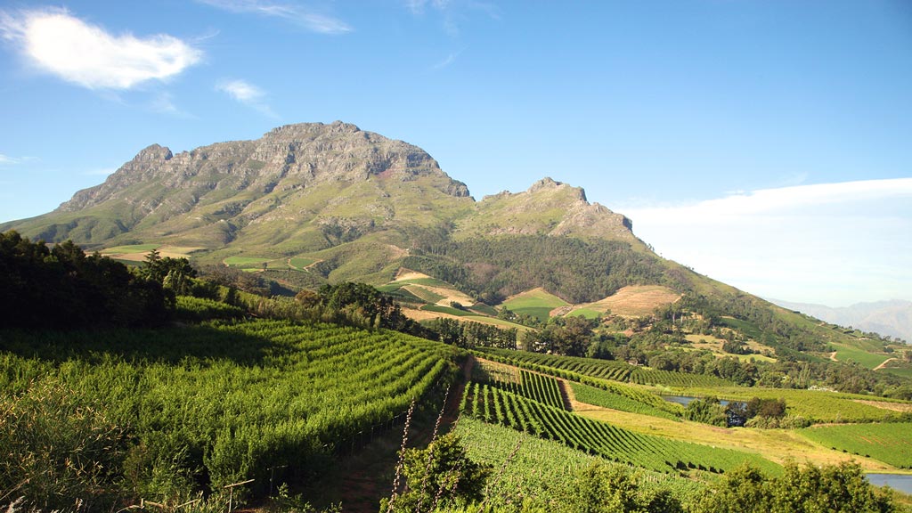 Jour 3 : Le Cap / Stellenbosch / Franschhoek