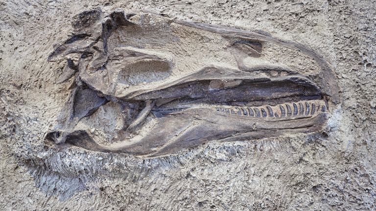 Jour 7 : Jackson Hole / Vernal - 461 Km - 5h de route