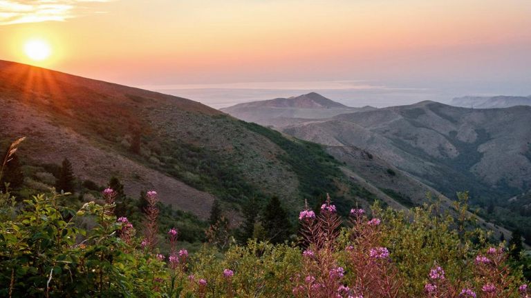 Jour 2 : Salt Lake City / Pocatello - 266 Km - 2h20 de route