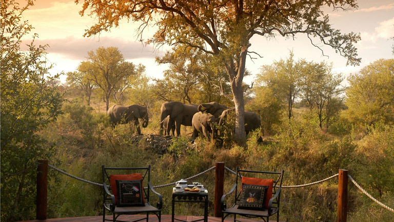 Hoyo Hoyo Tsonga Lodge, terrasse