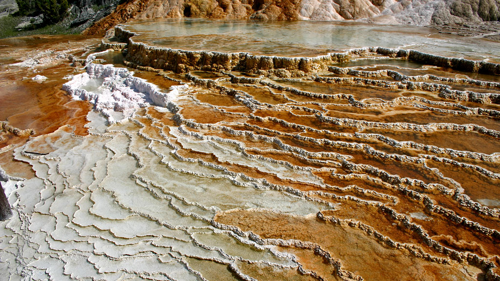 Mammoth hot springs, Yellowstone