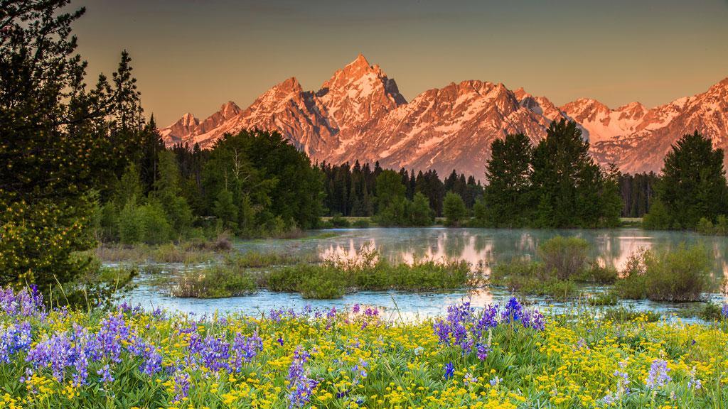 Rocky Mountain Tour