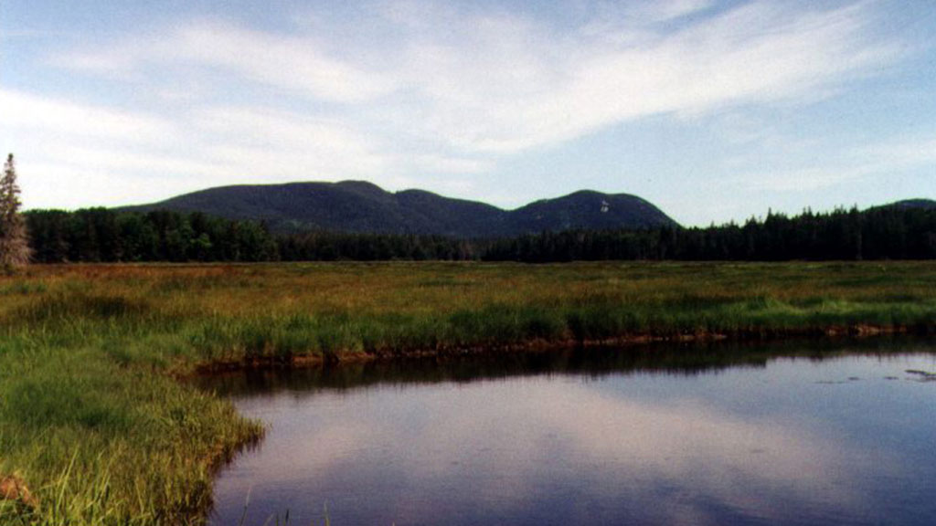Jour 4 & 5 : Bar Harbor / Acadia National Park/ Bar Harbor 