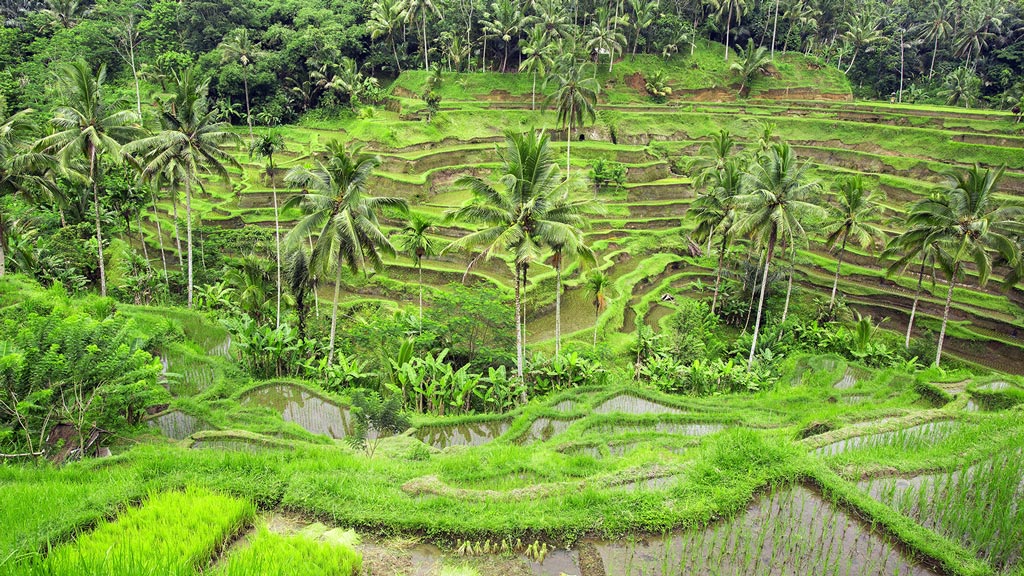 Ubud