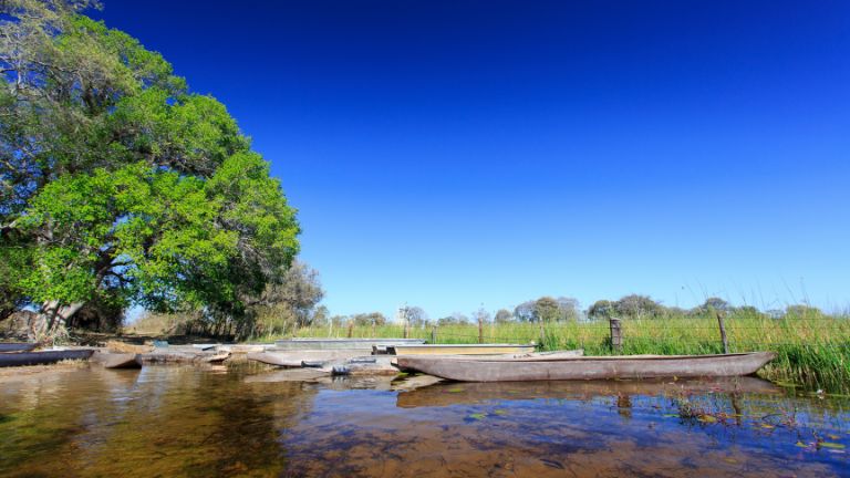 Jours 9  11 : Delta de l'Okavango