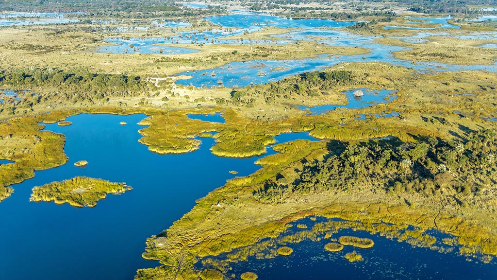 Delta de l'Okavango