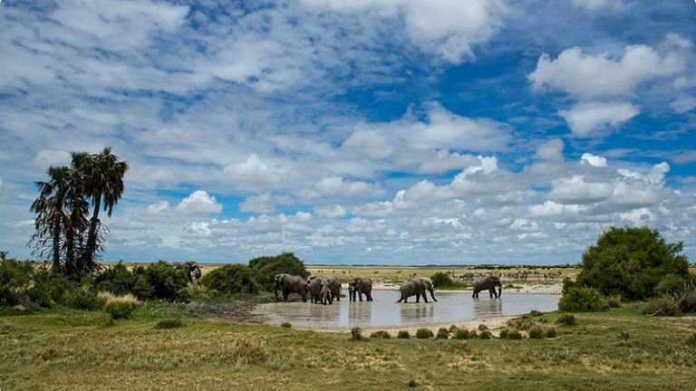 Jour 8 : Makgadikgadi