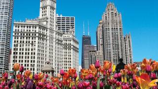 Chicago