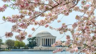 Washington DC