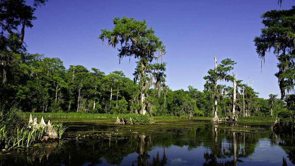 Jour 11 : Pensacola / Talahassee 