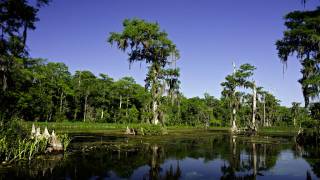 Wakulla Springs National Park