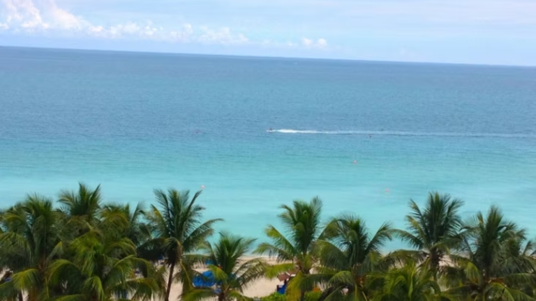 Holiday Inn Beach Miami Oceanfront - Vue depuis l'htel