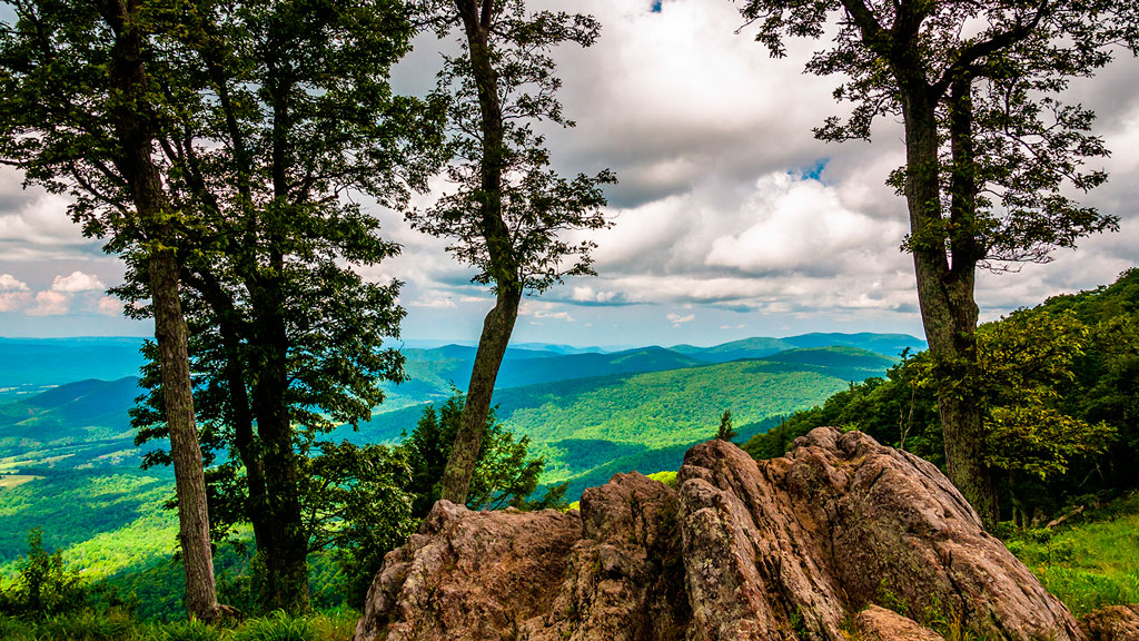Jour 7 :  Luray / Shenandoah / Charlottesville - 89 Km - 1h15 de route
