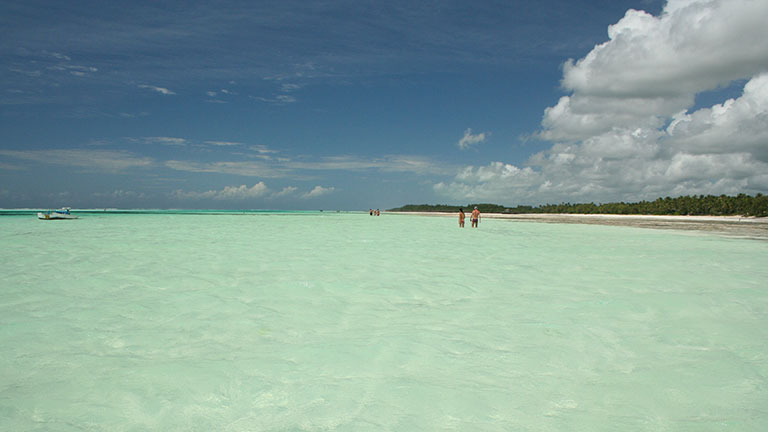 Htel Karafuu Beach Resort & Spa  Zanzibar, plage