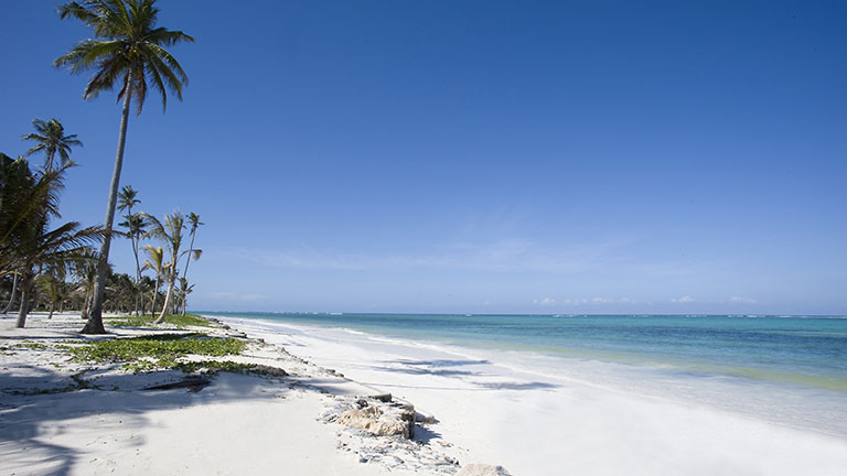 Htel Baraza Resort & Spa  Zanzibar, plage