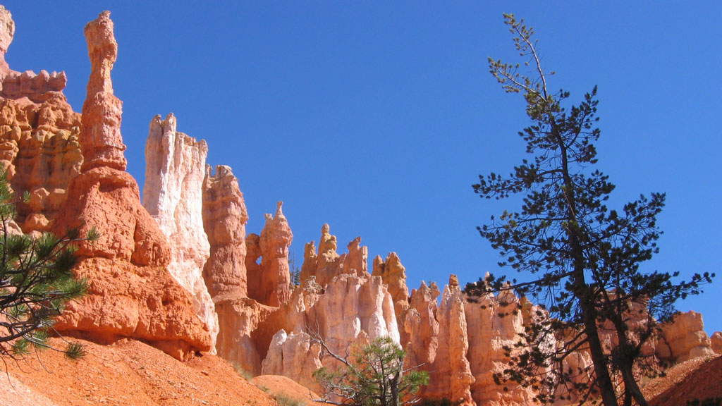 Jour 11 : Bryce Canyon / Zion - 134 Km - 1h45 de route
