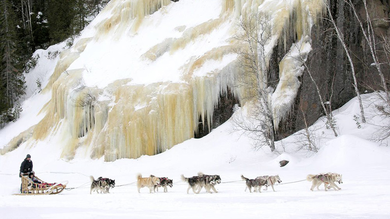 Hotel Sacacomie, activit