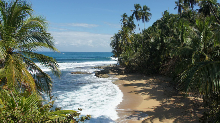 Jour 6 : Puerto Viejo - Cahuita