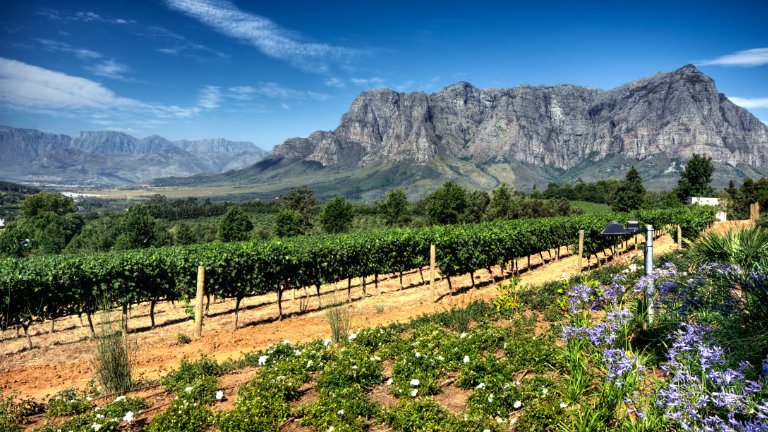 Jour 3 : Le Cap / La route des vins / Le Cap