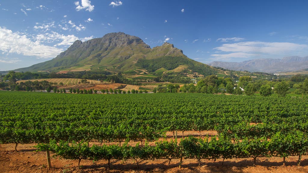 Stellenbosch