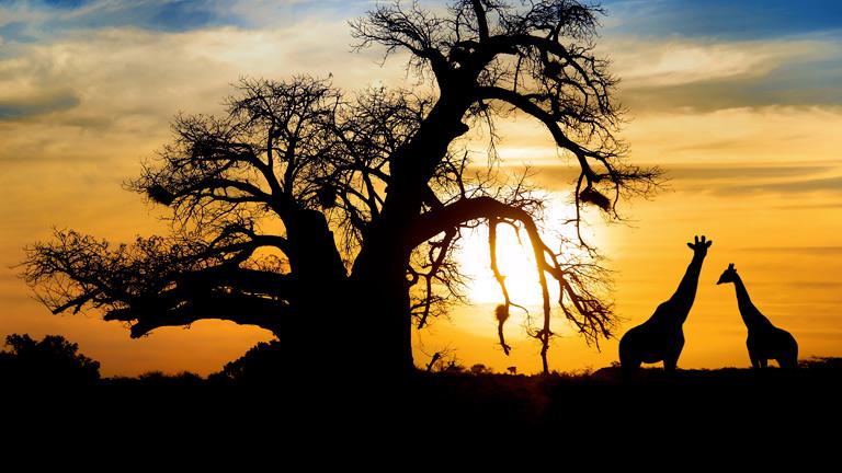 Afrique du Sud et civilisations