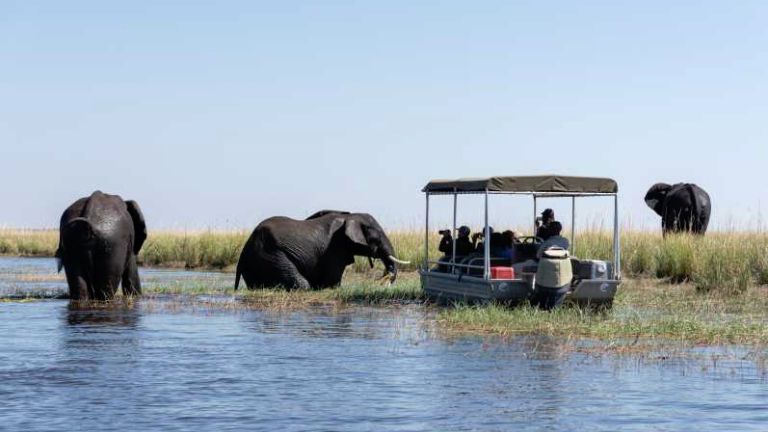 Jour 10 : Les Chutes Victoiria (ct Zimbabwe) / Le parc national Chobe (ct Botswana)