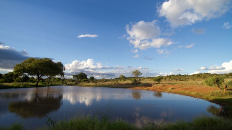 Jour 6 : Parc Kruger / Royaume d'Eswatini 