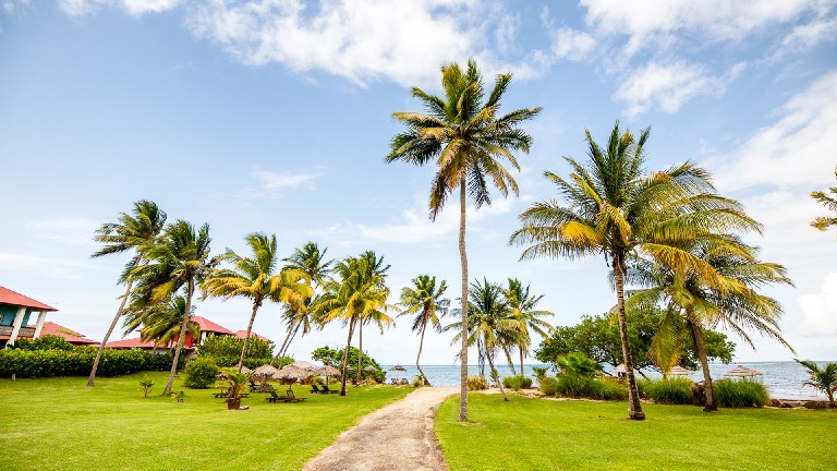Les Villas du Lagon - Jardin