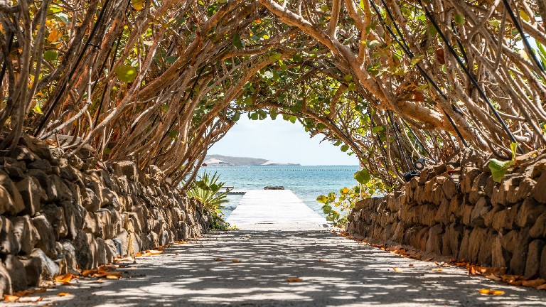 Les Villas du Lagon - Alle menant au ponton