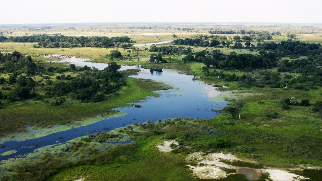 Jour 6 : Makgadikgadi / Rgion de Moremi / Khwai