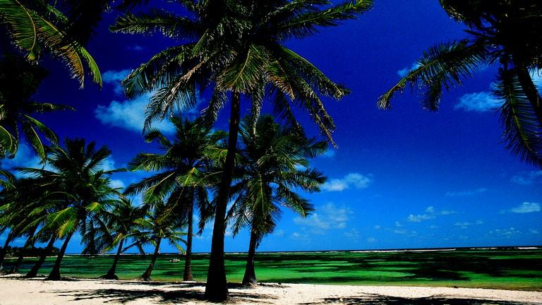Htel Caraib'bay, Basse Terre, plage de Grande Anse