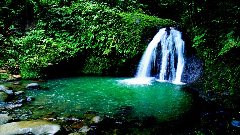 Guadeloupe, cascades aux crevisses