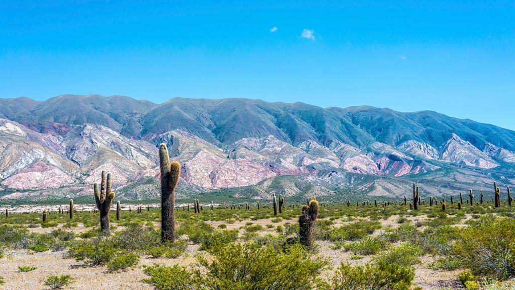 Jour 8 : Salta / Cachi (155 km)