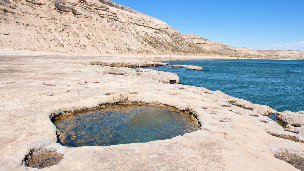 Jour 11 : Puerto Madryn