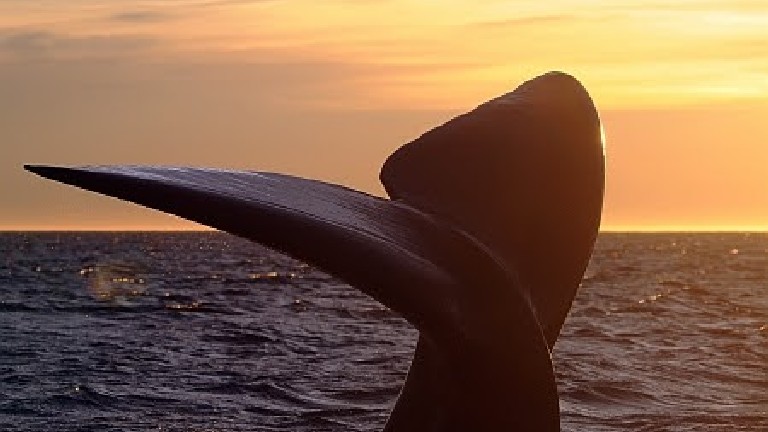 Jour 10 : Ushuaia / Puerto Madryn