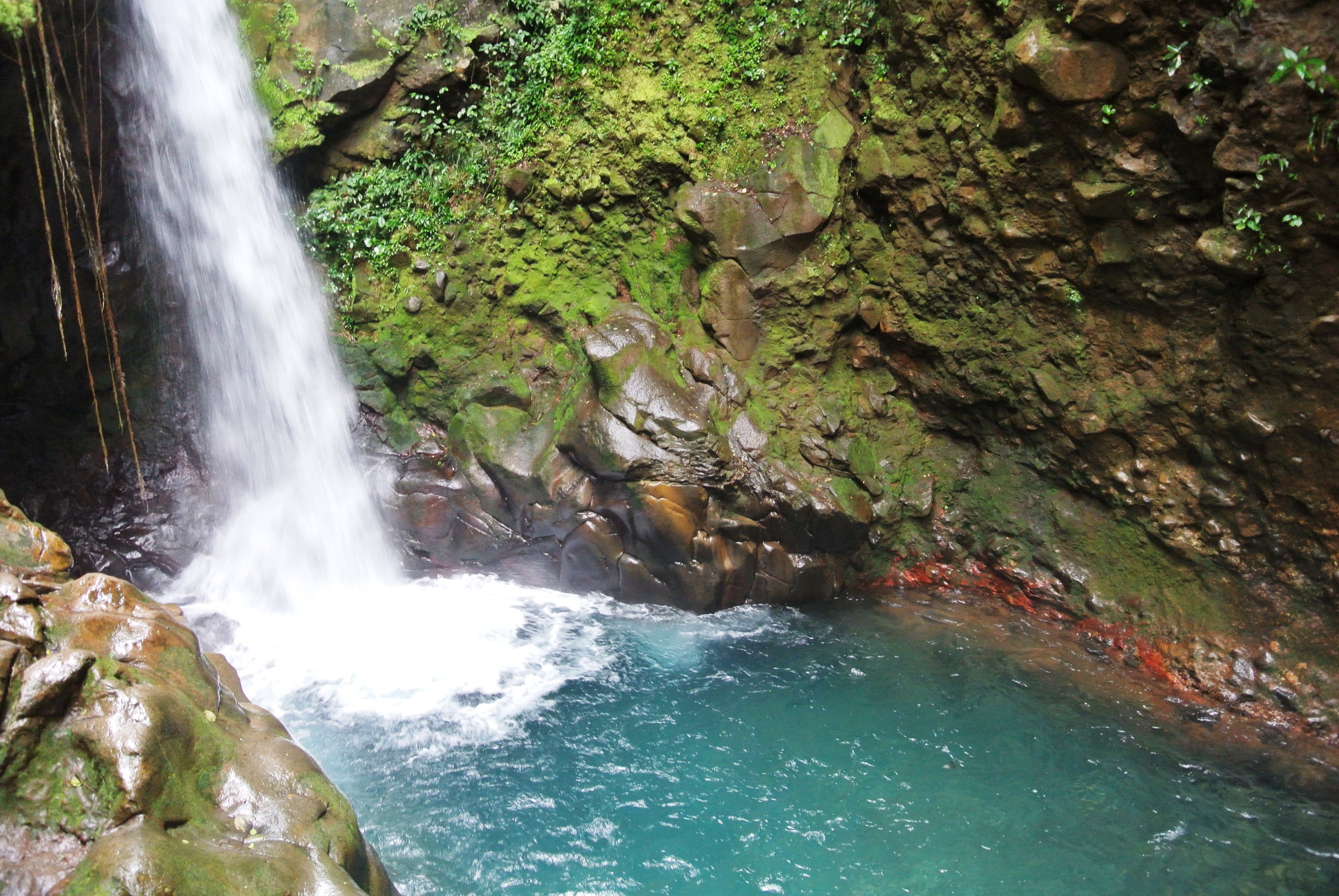 Jour 7 : Volcan Arenal / Monteverde