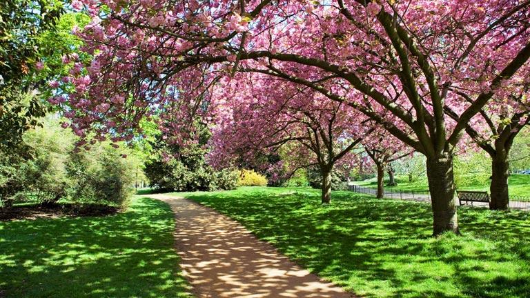 Londres Hyde Park