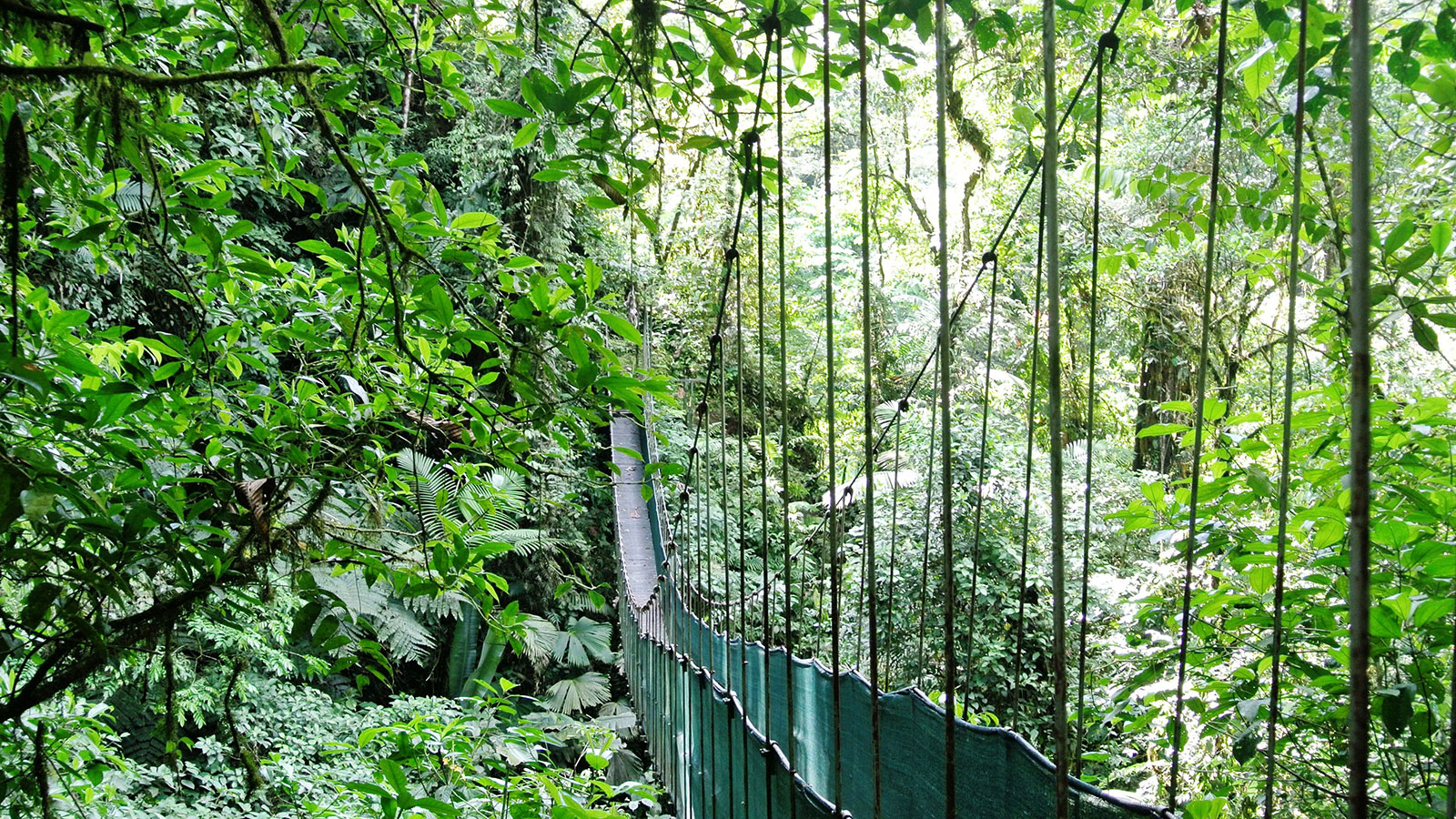 Volcan Arenal, Costa Rica