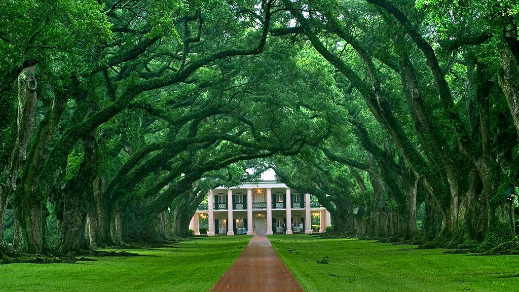 Jour 10 : Natchez / Lafayette - 218 Km - 2h35 de route