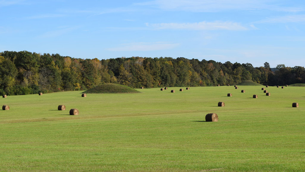 Natchez Trace Parkway, Mississippi