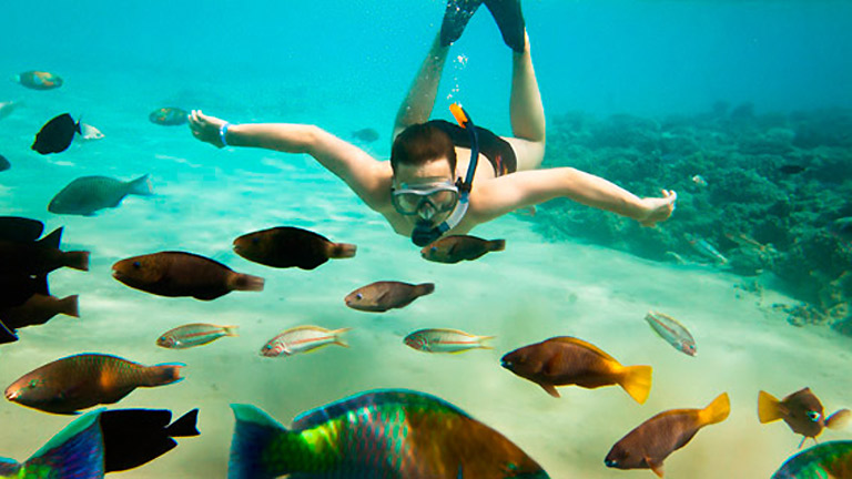 Villas HM Palapas del Mar, plonge