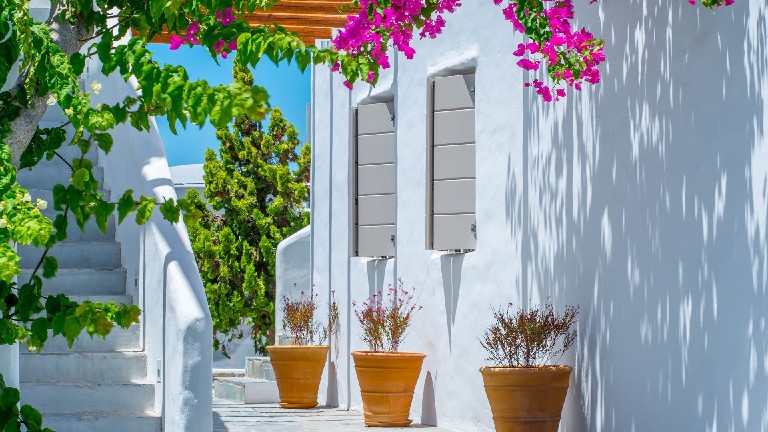 Delmar Appartements & Suites - Exterieur