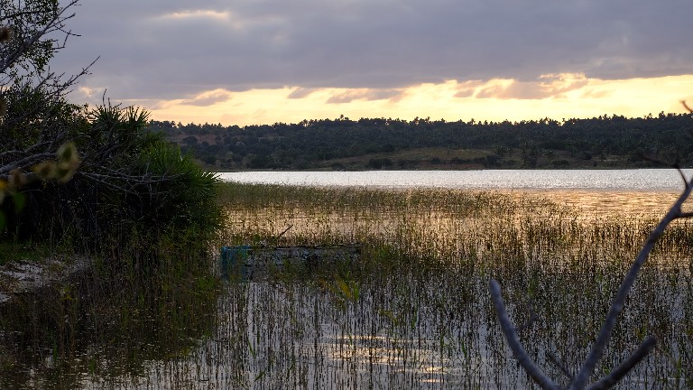 Dunes de Dovela - Environnement