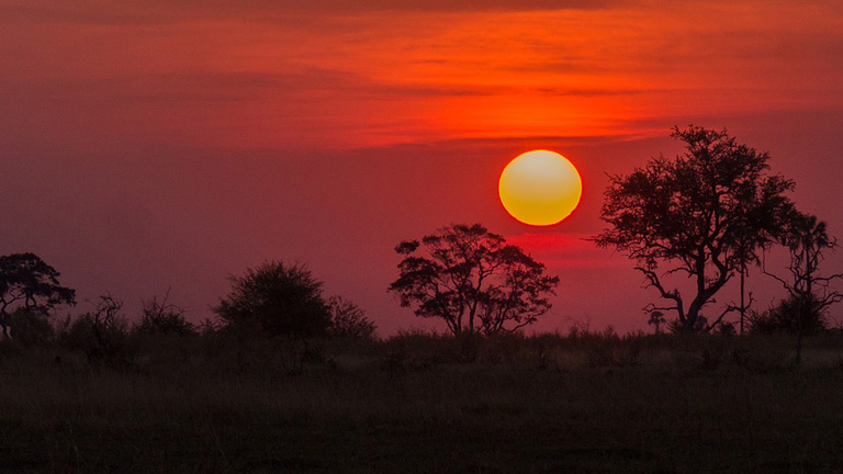 coucher de soleil, Parc National de Chobe