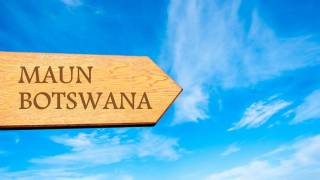 Jour 2 : Johannesburg / Maun