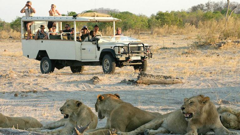 Vehicule de safari, Réserve de Moremi
