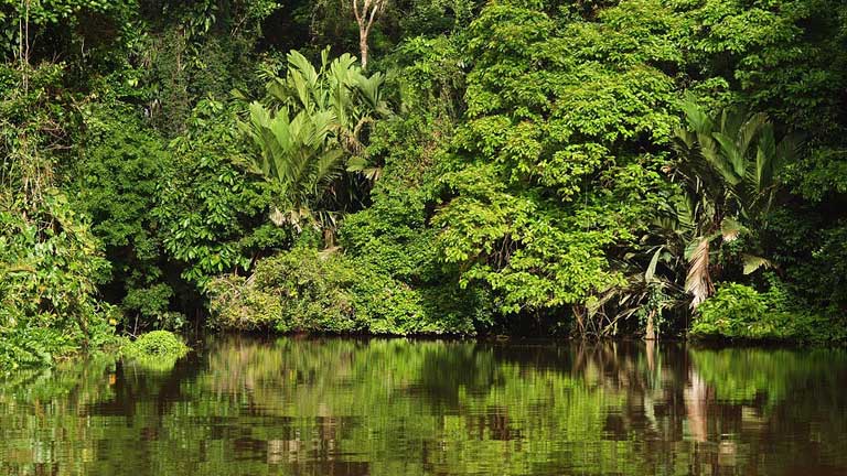 Parc National Tortuguero
