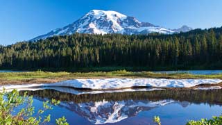 Jour 5 : Lake Quinault / Mont Rainier - 272 Km - 3h45 de route